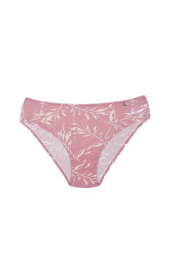 Kom Pamuk-Modal Aleaves 5 li Kadın Külot Renkli